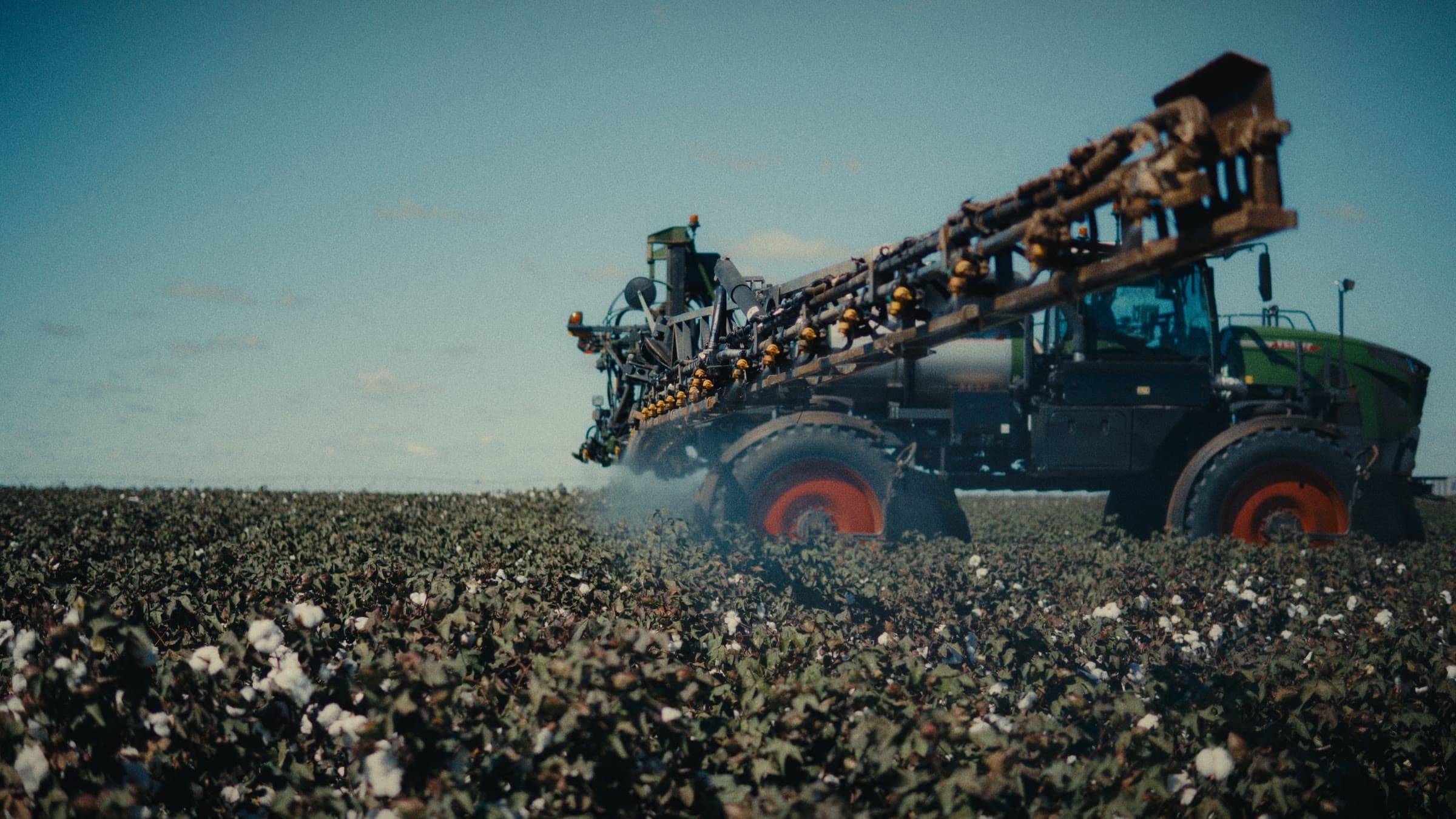Pulverizador autopropelido Rogator atravessando a lavoura de algodão