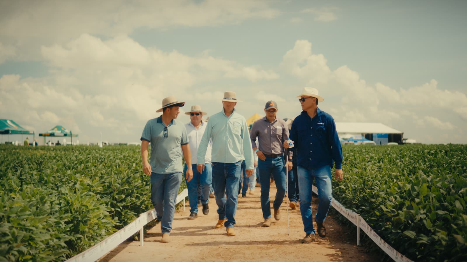 Grupo caminhando por um corredor entre plantações, do Dia de Campo 2025 para a Cooperfarms.