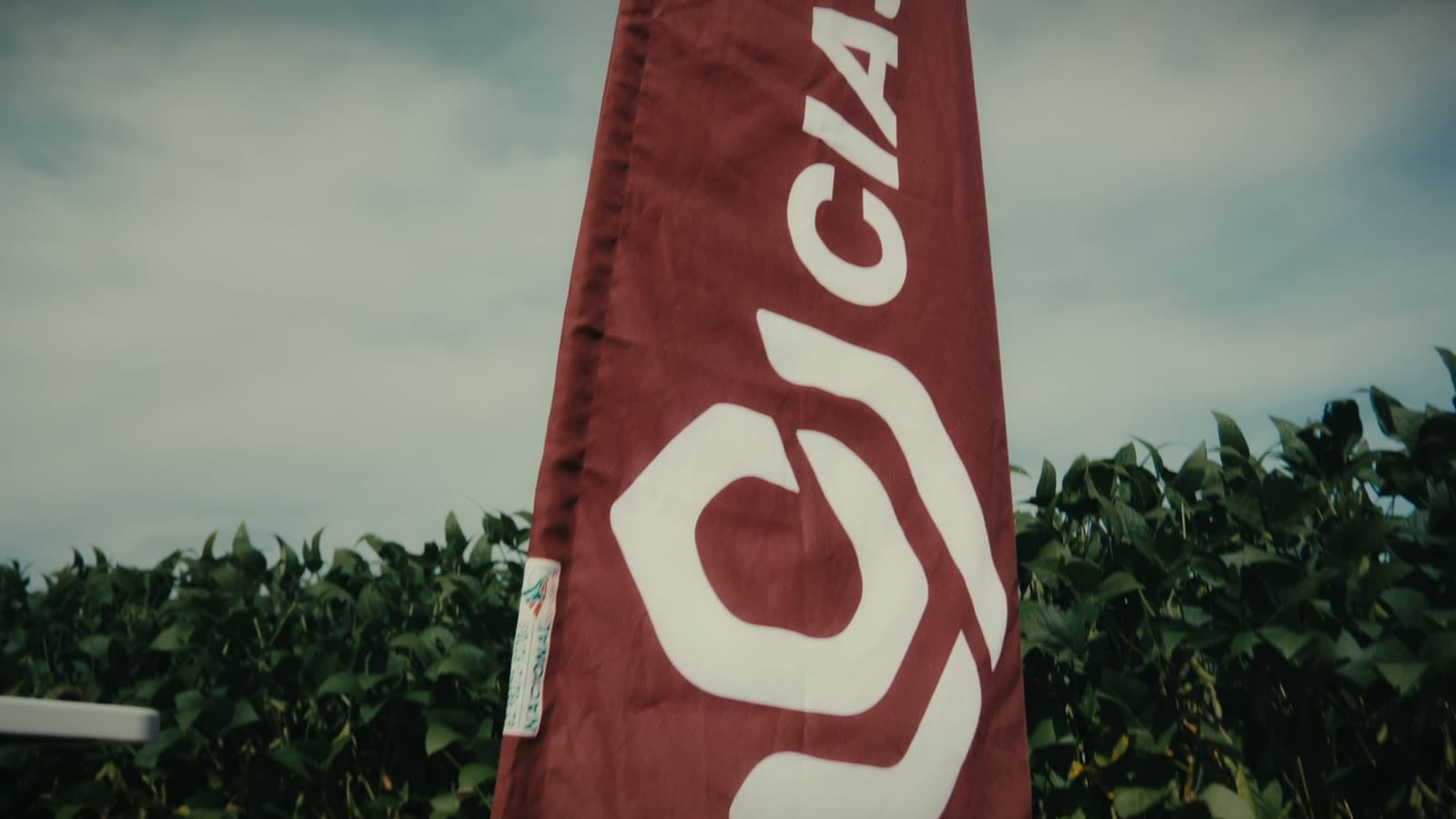 Dia de Campo 2026 — Ciaseeds
