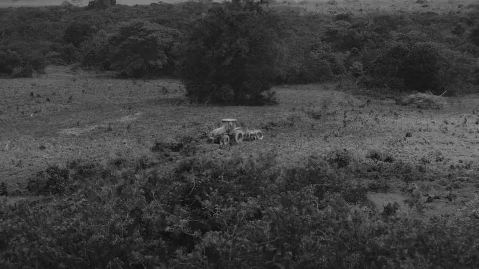 Fazenda Curral Velho — Nossa Valtra